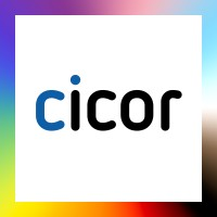 Cicor Group