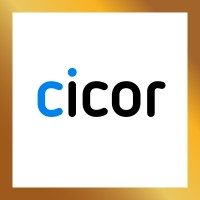 Cicor Group